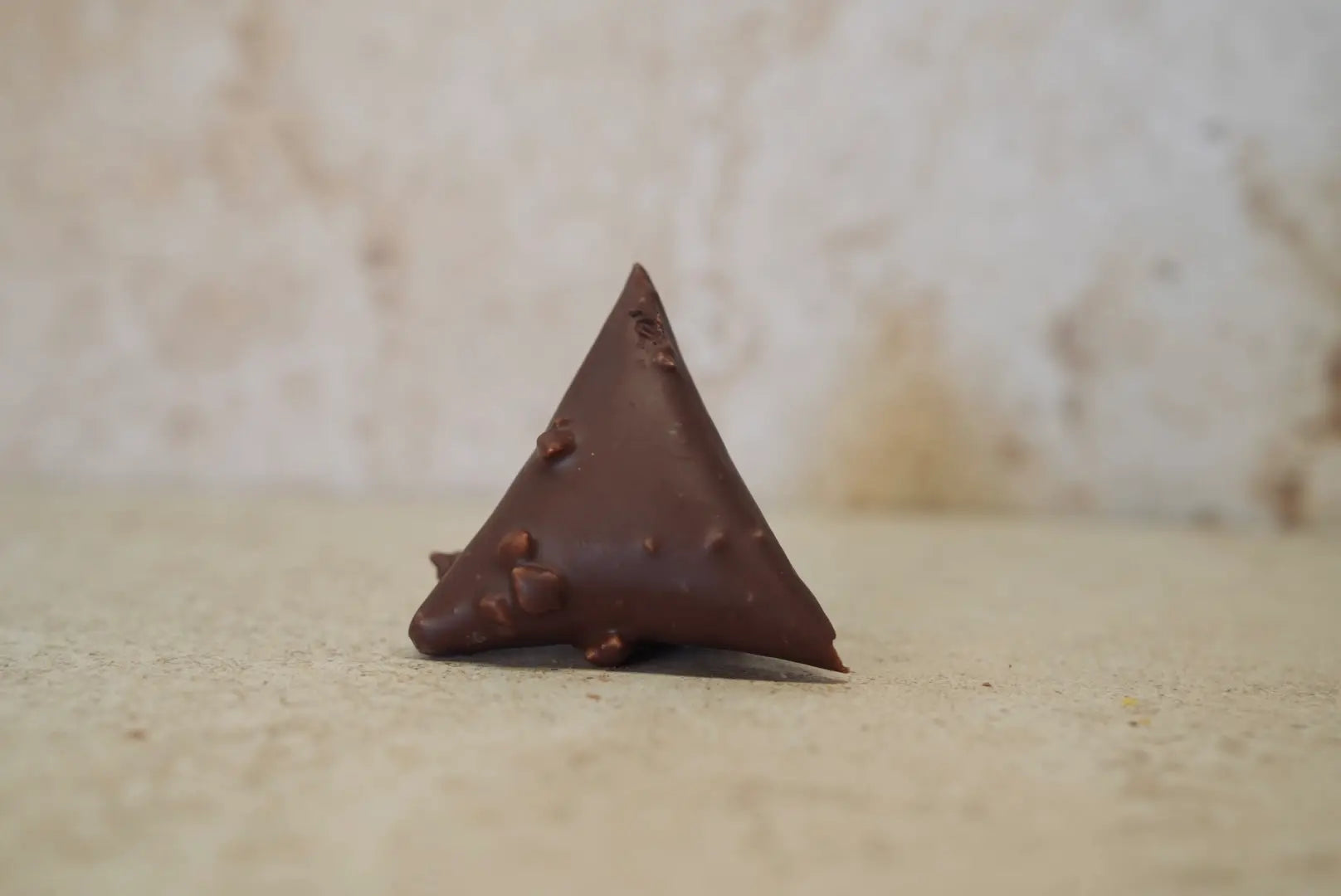 NOISETTE